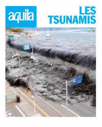Les Tsunamis