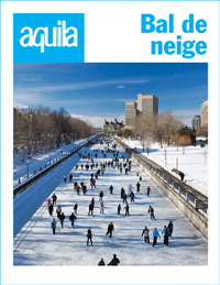 Bal de neige